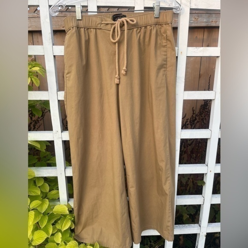 Banana Republic Wide leg Cropped Pants